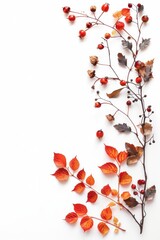 Autumn leaves and berries arrangement