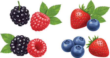 Realistic vector illustration of strawberry, blueberry, raspberry, and blackberry with green leaves, healthy organic fresh berries isolated on white background for design