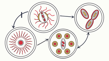 cell-division-icon-set (1)