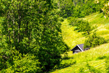 Austria alpine mountain landscape farm panorama with little hut huts.