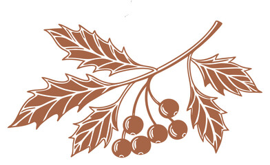 Stylized holly branch with berries isolated on white background