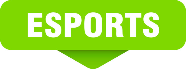 Fototapeta premium esports sticker. esports sign on transparent background