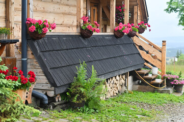 Traditional wooden house with rustic charm, blooming flowers decorate windows. Colorful summer...