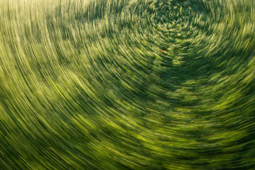 abstract green background with circles