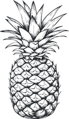 Obraz premium Black and white hand drawn sketch of a whole ripe pineapple with detailed leaves and textured skin.
