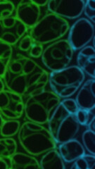 Abstract background with a blurred pattern of interconnected glowing circles in green and blue against a dark backdrop