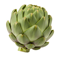 Obraz premium Close-up of Green Artichoke on White Background Fresh and Healthy