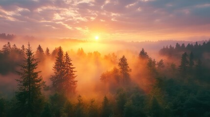Sunrise over misty mountain forest, aerial view