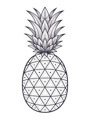 Obraz premium Pineapple Outline Icon Tropical Fruit