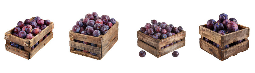 Set of wooden crates filled with ripe purple plums isolated on transparent background PNG. Farming, eco products and harvest concept