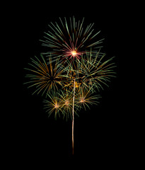 Colorful firework sparkling on black background for celebration and anniversary