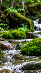 Lush mossy rocks in a clear stream evoke tranquility and natural beauty. Perfect for nature, environmental themes, travel, mindfulness, or ecological projects.