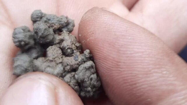 Fingers touching earthworm castings in open palm