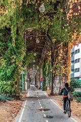 Vertical view: Cyclist on vine-covered path in Green tunnel under railway viaduct, Girona, Spain. A unique urban space blending nature and infrastructure
