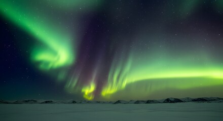 Naklejka premium Aurora Borealis Dancing Across Arctic Night Sky