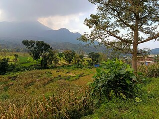 clouds over the mountain