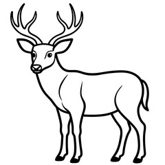 Wapiti and Vole Outline Art in Vector Style