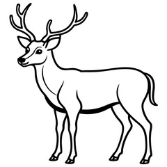 Obraz premium Wapiti and Vole Outline Art in Vector Style