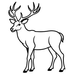Wapiti and Vole Outline Art in Vector Style