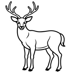 Wapiti and Vole Outline Art in Vector Style