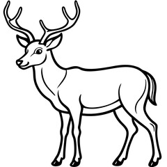 Wapiti and Vole Outline Art in Vector Style