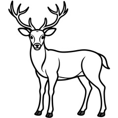Wapiti and Vole Outline Art in Vector Style