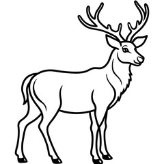 Fototapeta premium Wapiti and Vole Outline Art in Vector Style