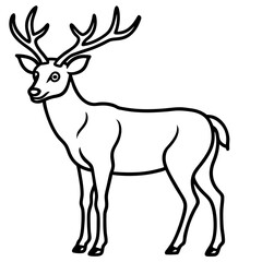 Wapiti and Vole Outline Art in Vector Style