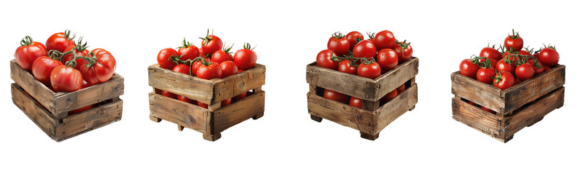 Set of four wooden crates filled with ripe red tomatoes isolated on transparent background PNG. Farming, eco food and harvest concept