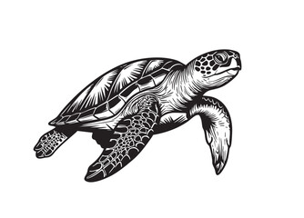 Obraz premium Vector illustration of a graceful sea turtle swimming, Undersea animals.