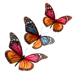 Trio of Butterflies in Flight with Open Colored Wings – Realistic High-Resolution Composition on Transparent Background