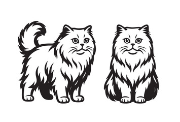 Obraz premium Vector illustration of two british longhair cats, one standing and one sitting, Pet