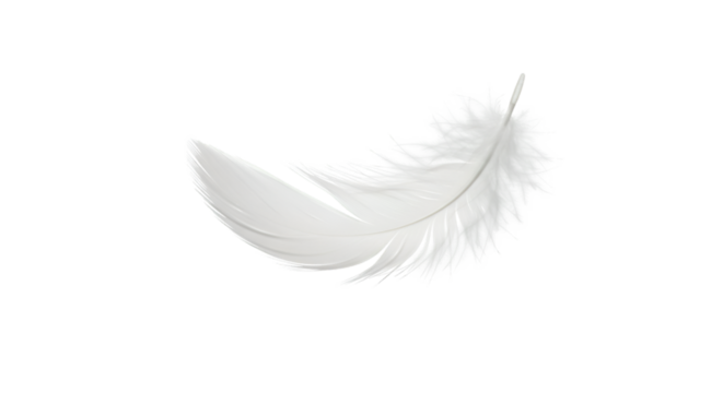  A soft white feather with fine details and light shadow, floating mid-air, isolated on white background.