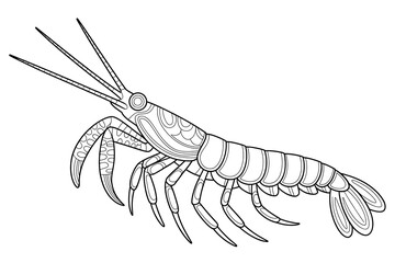 Ornate shrimp, detailed in black and white.
