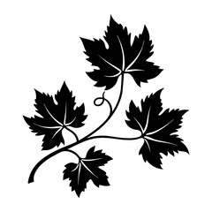 Silhouette of Grapevine on white background