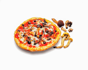 Delicious pizza with pioppini mushrooms and mozzarella cheese on a white background