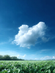 Lush green crop field under a vibrant blue sky with fluffy white clouds. Symbolizes growth, agriculture, peace, and environmental themes. Ideal for websites, presentations, and print.