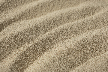 Detailed Background of Dry Active Yeast.