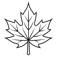 Maple line art vector