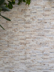 Minimalistic composition of fresh green branch, textured gray granite surface. Organic shadow play...