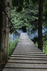 Obraz premium wooden bridge in the forest