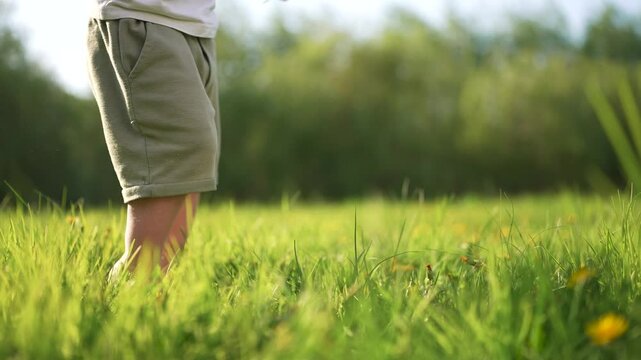 Child's bare feet running through a field. Baby steps in the grass at the park. A child is walking on bare feet. A child's lifestyle unshod feet dashing across a meadow.