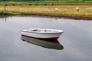 Fototapeta premium A small white boat rests quietly on calm water, surrounded by fields where sheep graze peacefully under a cloudy sky.