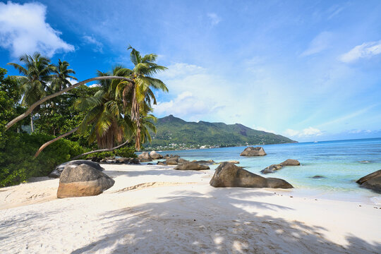 Beautiful white sandy beach with cocout palm trees and granite stone of mare anglaise, Mahe Seychelles 