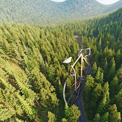 Bicycle positioned on a winding road amidst a dense green forest, concept of outdoor adventure and travel for healthy lifestyle.