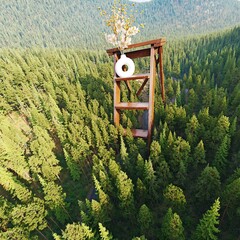 Wooden staircase with flowers and vase above forest, abstract concept of ecological sustainability and nature connection for environmental awareness.