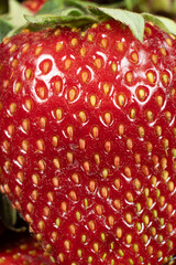 Ripe fresh strawberry macro, clear grains, vertical fruit berry background