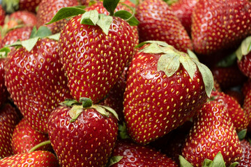 Many fresh strawberries top view. Organic berry texture background.