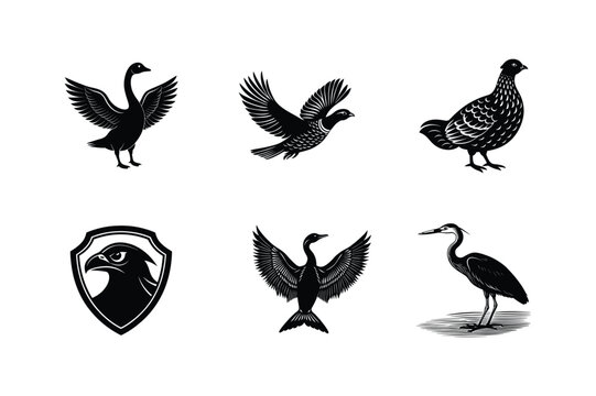Six black silhouettes of birds in flight and resting
