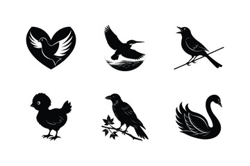 Obraz premium Six black silhouettes of various birds